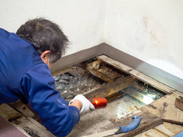 Best Bathroom Mold Remediation in Tyrone, PA