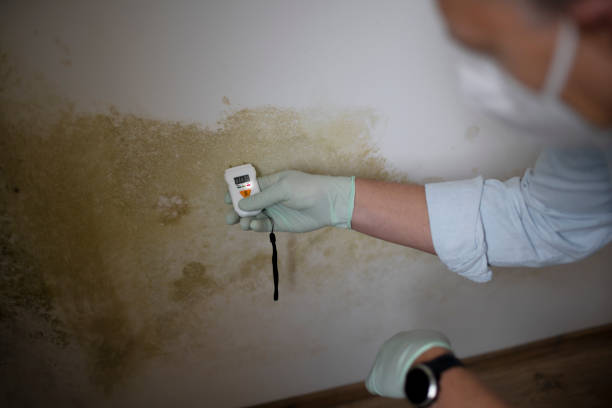 Tyrone, PA Mold Remediation Company